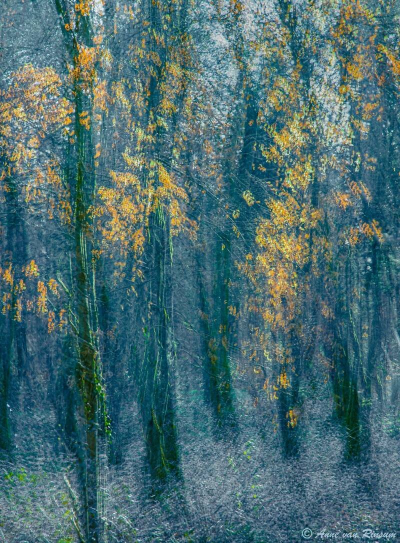 Herfst