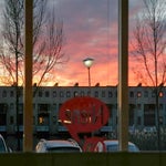 Niene_036.jpg