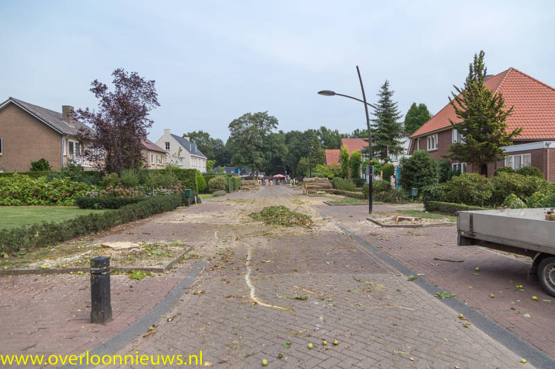 BomengekaptMuseumlaan28-08-2019-14.jpg
