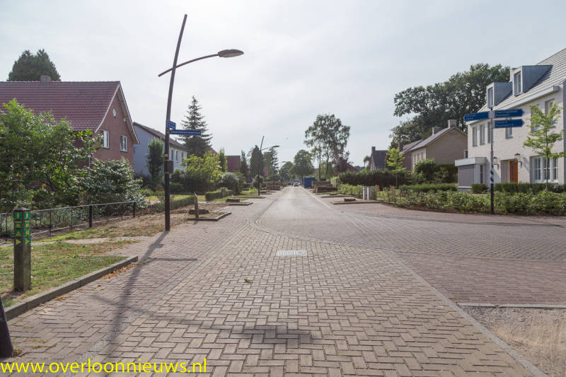 BomengekaptMuseumlaan28-08-2019-15.jpg