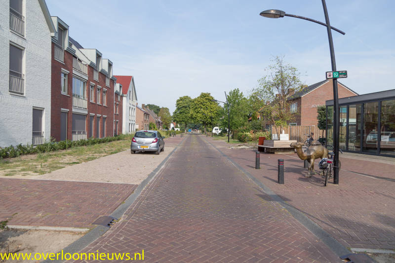 BomengekaptMuseumlaan28-08-2019-20.jpg