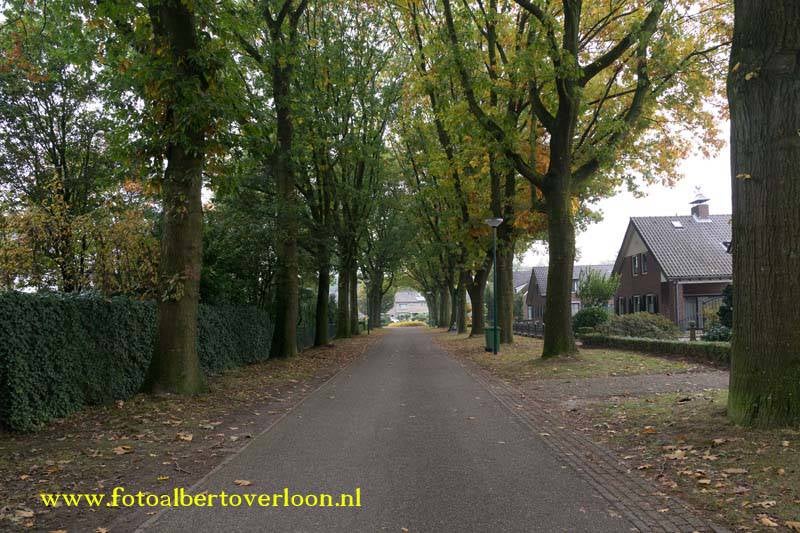 BomengekaptPastoorvanBoxtellaan24-10-20161-1.jpg