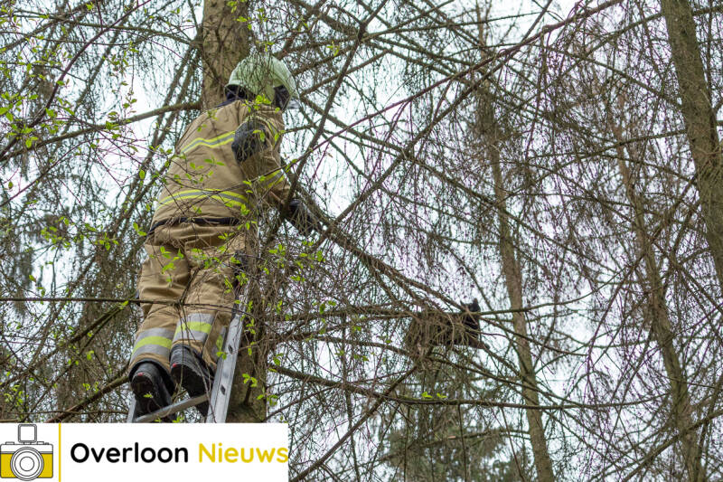 Brandweerredtkatuitboom2-04-2021--4-1.jpg