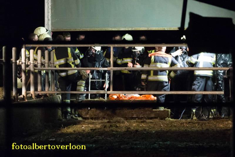 Brandweerredtkoeuitgierkelder04-05-20173.jpg