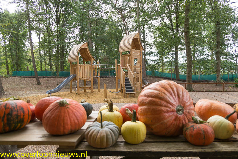Burendag-Speeltuin-gewoon-Buiten---19-1.jpg