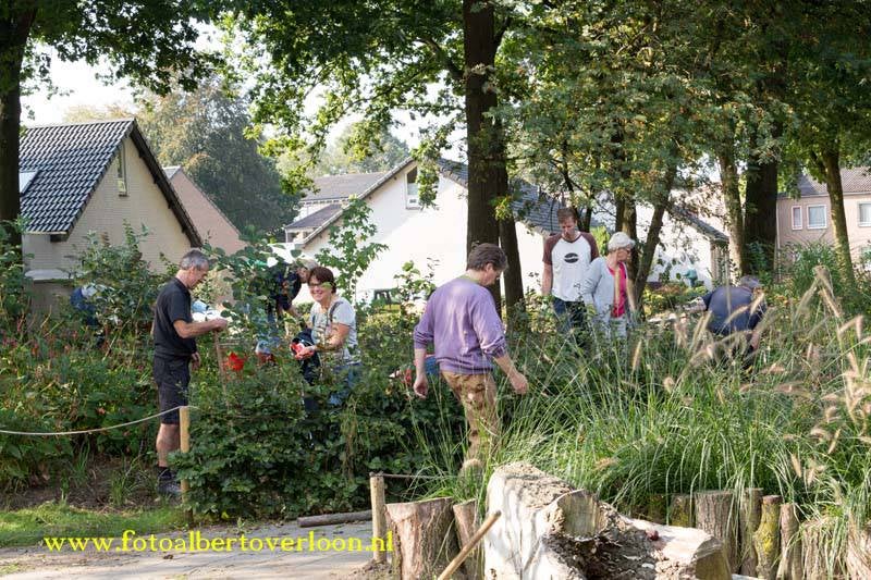 BurendagGroeneSchoolplein24-9-201625-1.jpg