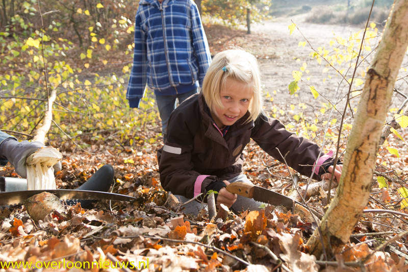 Dehandenuitdemouwenbijnatuurwerkdag--12.jpg