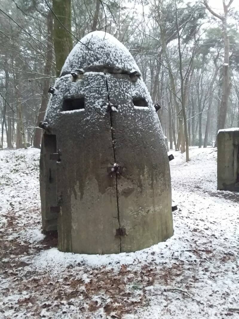 FotoPiet8.jpg
