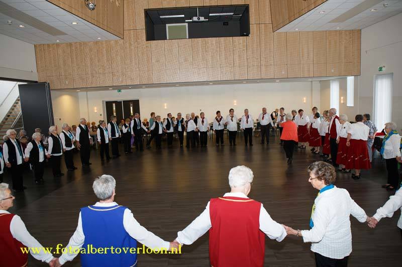 GemeentelijkedansdagOverloon05-04-20144.jpg