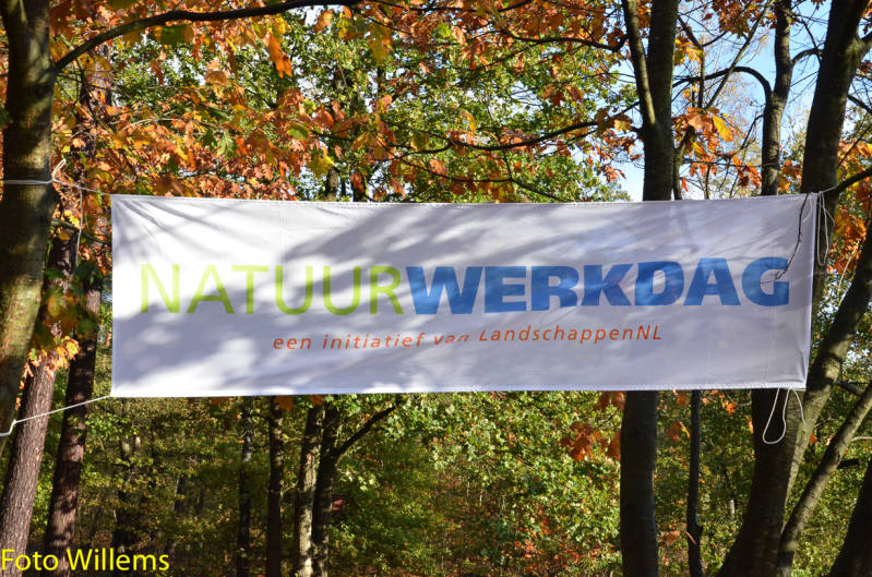 GeslaagdenatuurwerkdagopLoonseDuinen02-11-2019FotoWillems--1.jpg