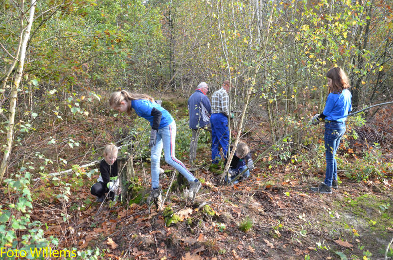 GeslaagdenatuurwerkdagopLoonseDuinen02-11-2019FotoWillems--10.jpg