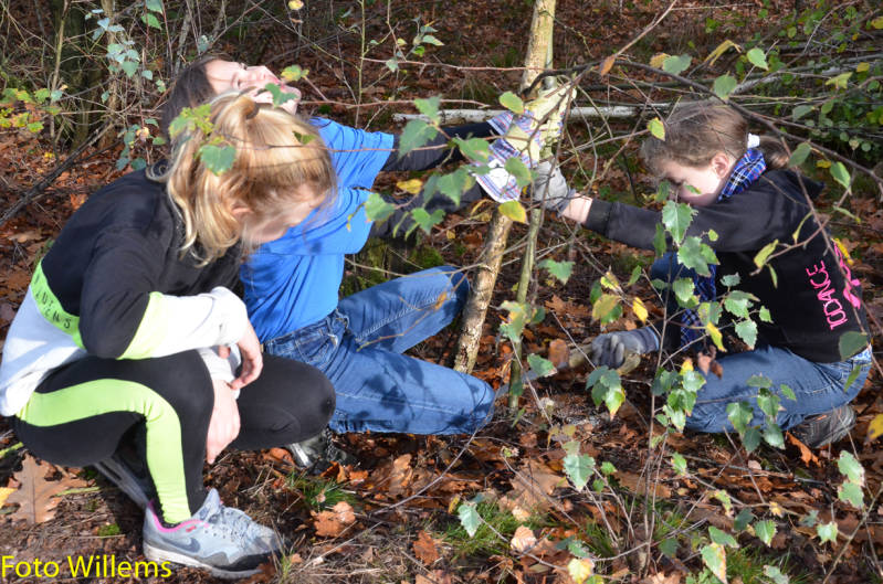 GeslaagdenatuurwerkdagopLoonseDuinen02-11-2019FotoWillems--11.jpg