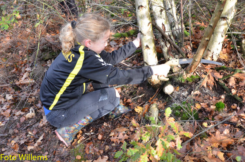 GeslaagdenatuurwerkdagopLoonseDuinen02-11-2019FotoWillems--12.jpg