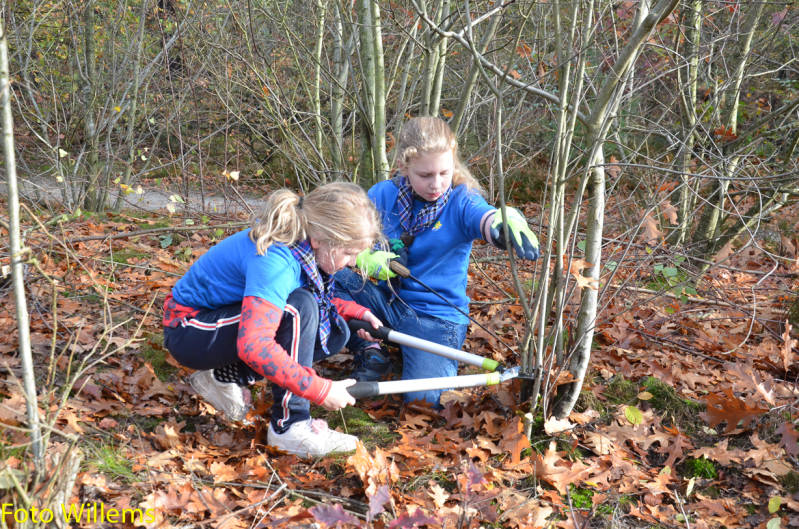 GeslaagdenatuurwerkdagopLoonseDuinen02-11-2019FotoWillems--14.jpg