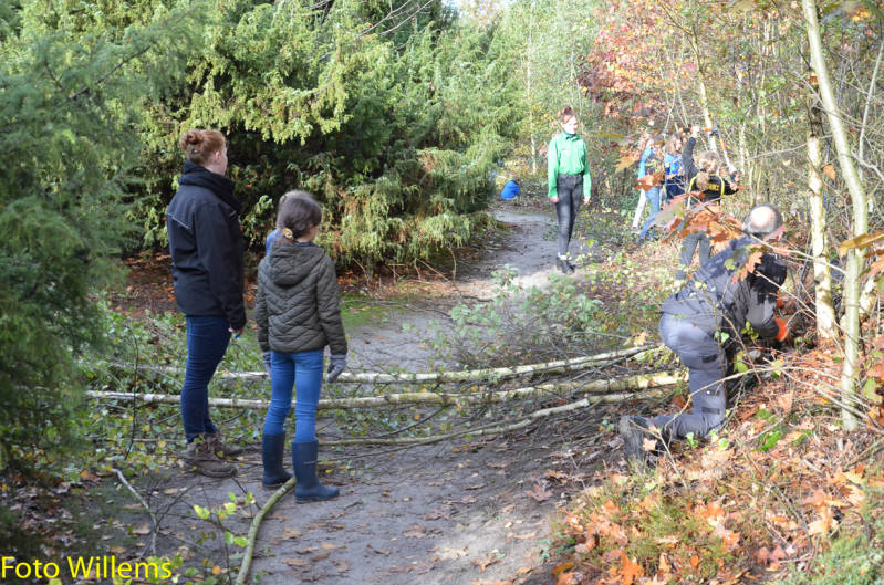 GeslaagdenatuurwerkdagopLoonseDuinen02-11-2019FotoWillems--15.jpg