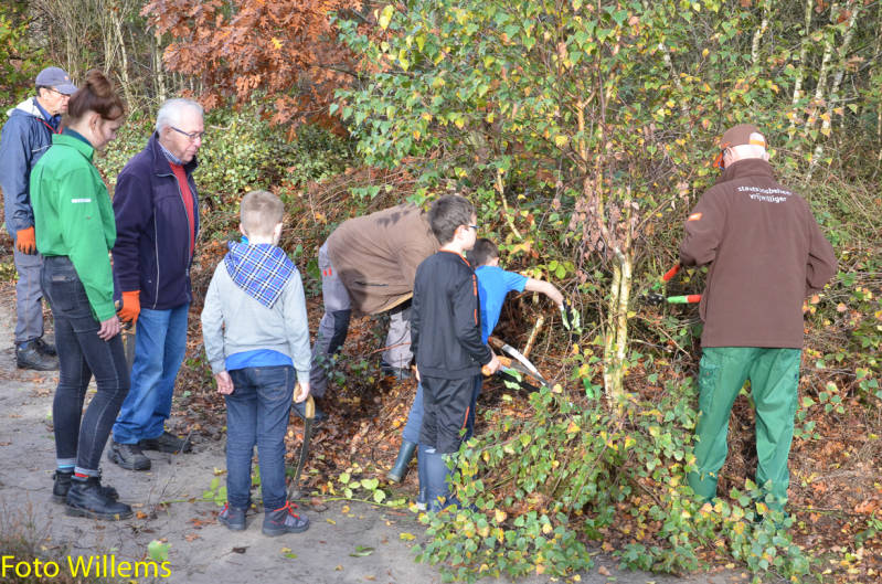 GeslaagdenatuurwerkdagopLoonseDuinen02-11-2019FotoWillems--18.jpg