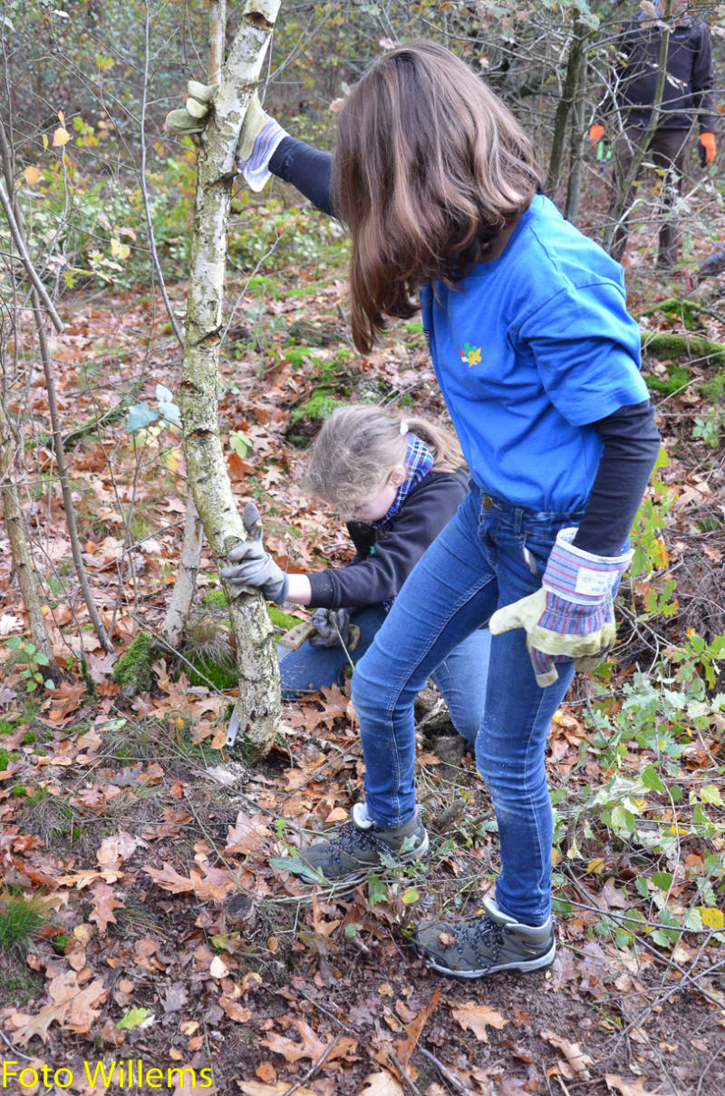 GeslaagdenatuurwerkdagopLoonseDuinen02-11-2019FotoWillems--20.jpg