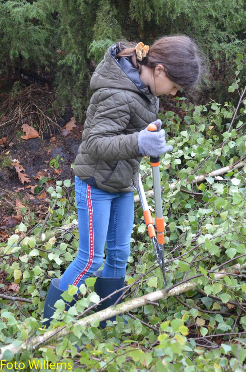 GeslaagdenatuurwerkdagopLoonseDuinen02-11-2019FotoWillems--21.jpg
