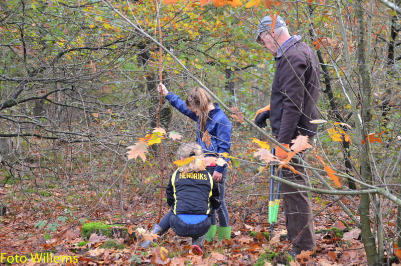 GeslaagdenatuurwerkdagopLoonseDuinen02-11-2019FotoWillems--22.jpg
