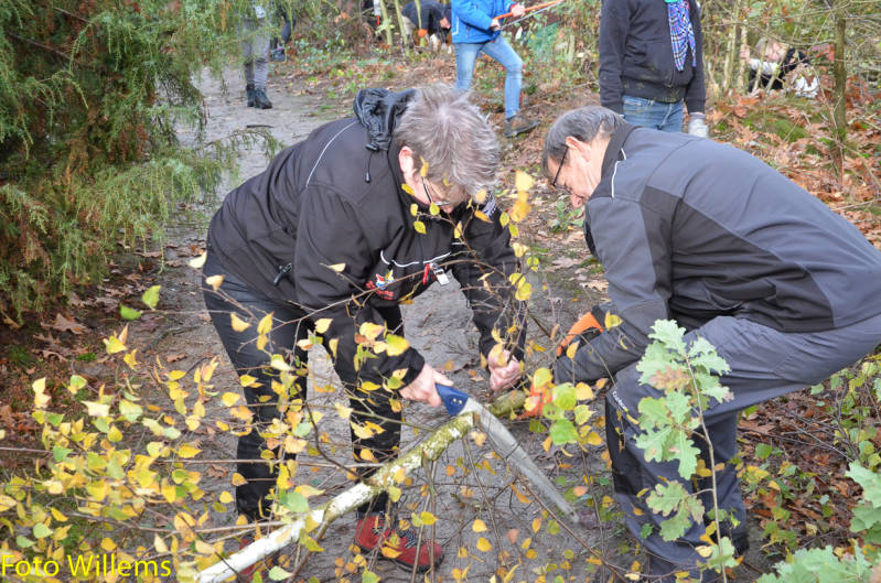 GeslaagdenatuurwerkdagopLoonseDuinen02-11-2019FotoWillems--23.jpg