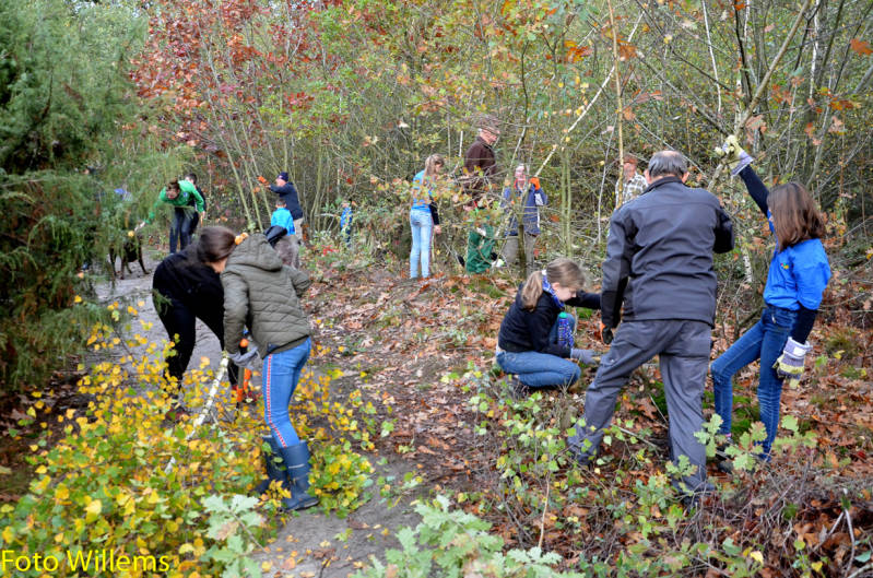 GeslaagdenatuurwerkdagopLoonseDuinen02-11-2019FotoWillems--24-1.jpg