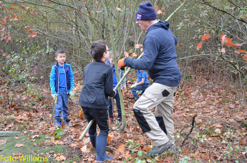 GeslaagdenatuurwerkdagopLoonseDuinen02-11-2019FotoWillems--25.jpg