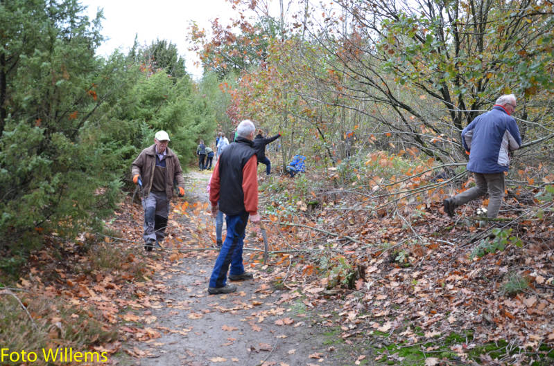 GeslaagdenatuurwerkdagopLoonseDuinen02-11-2019FotoWillems--27.jpg