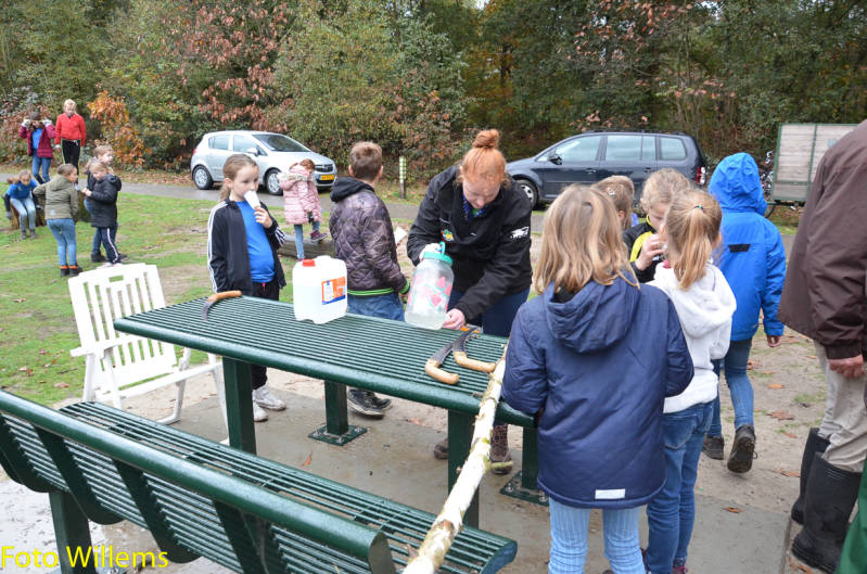 GeslaagdenatuurwerkdagopLoonseDuinen02-11-2019FotoWillems--28.jpg
