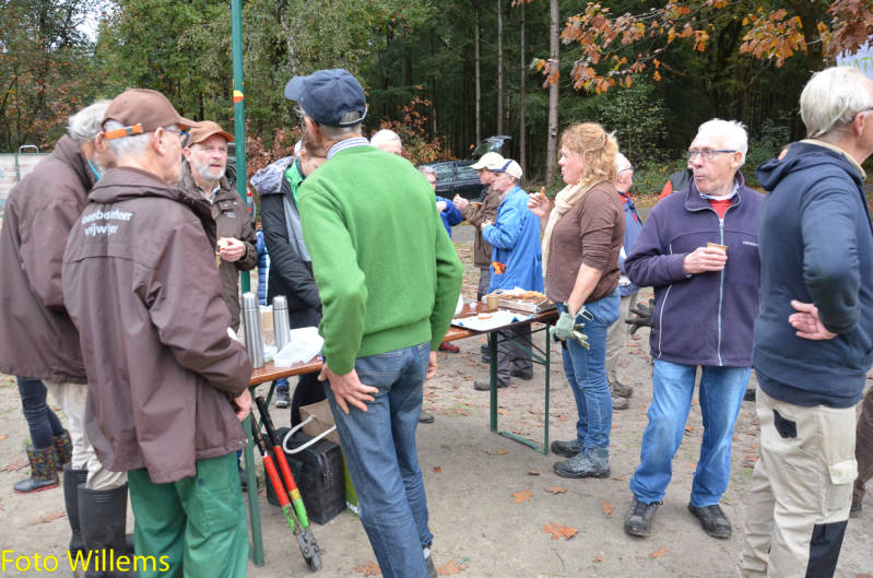 GeslaagdenatuurwerkdagopLoonseDuinen02-11-2019FotoWillems--29.jpg