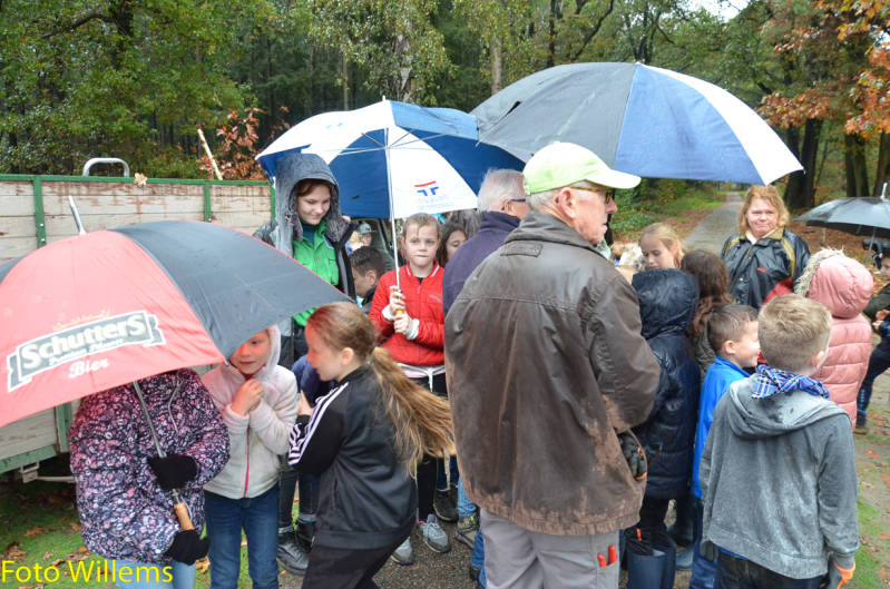 GeslaagdenatuurwerkdagopLoonseDuinen02-11-2019FotoWillems--31.jpg