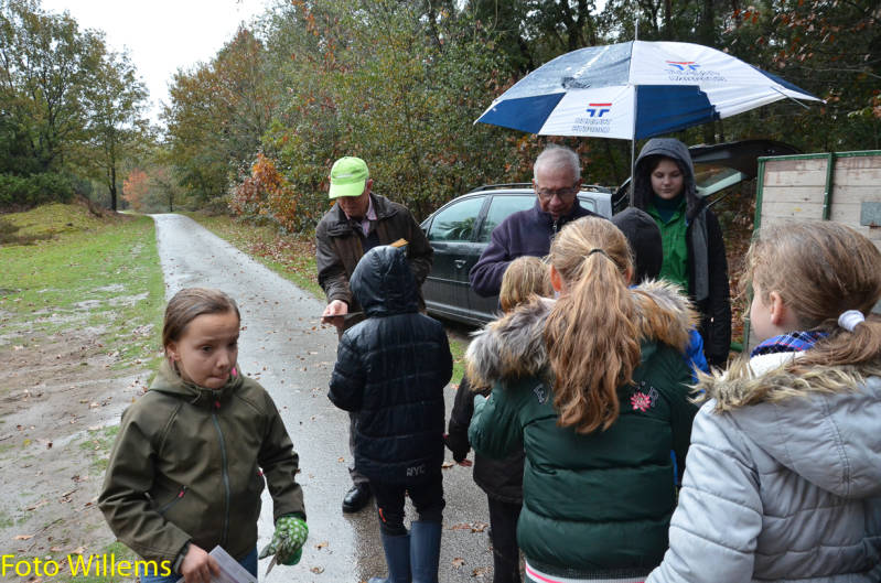 GeslaagdenatuurwerkdagopLoonseDuinen02-11-2019FotoWillems--33.jpg