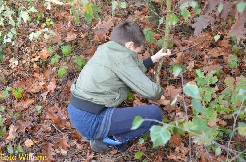 GeslaagdenatuurwerkdagopLoonseDuinen02-11-2019FotoWillems--9.jpg
