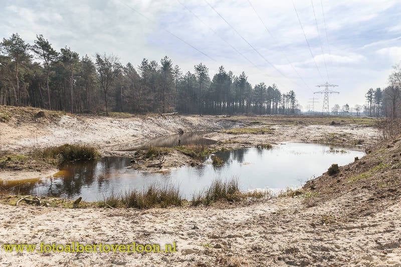 Heideontwikkelingenafwerkingstortplaats1.jpg
