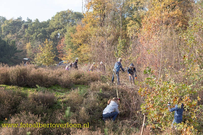 Natuurwerkdag-15.jpg