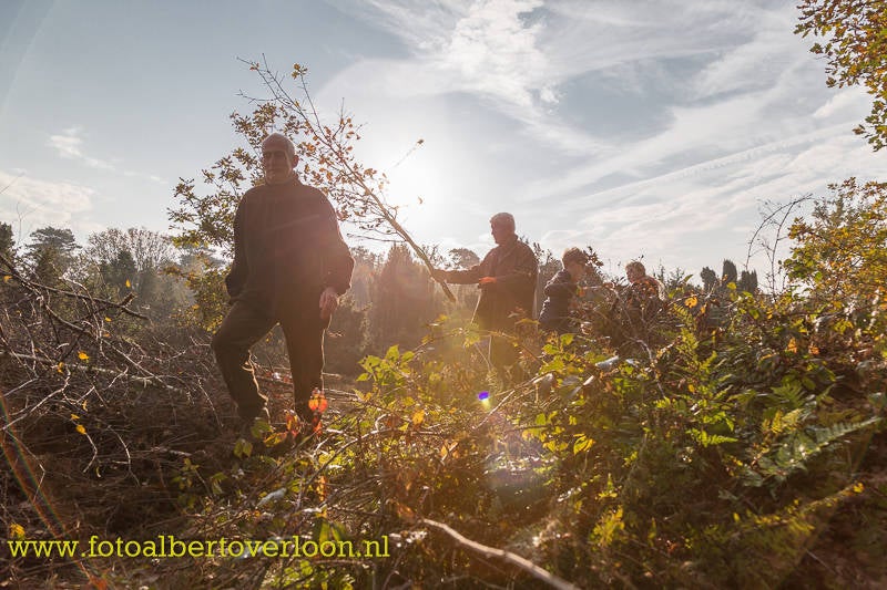Natuurwerkdag-5.jpg