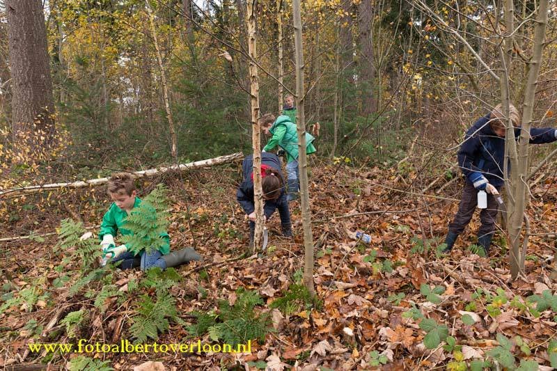 Natuurwerkdag07-11-201522.jpg