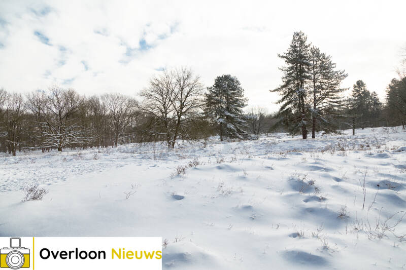 Overloonbedektondereenlaagsneeuw09-02-2021--3.jpg