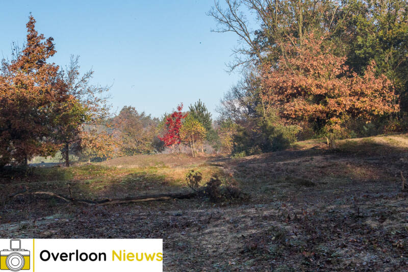 OverloonseDuinen5-11-2021-13.jpg
