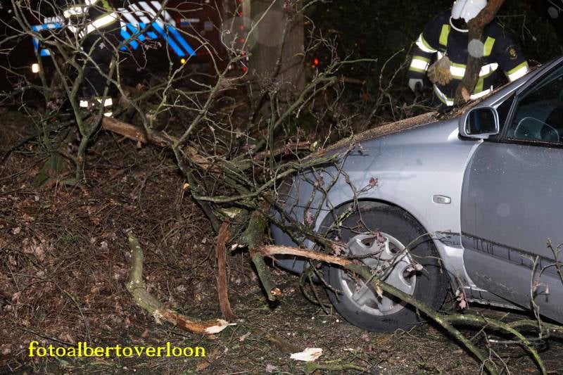 Schadeaanautosdooromgevallenboom23-02-201710-1.jpg