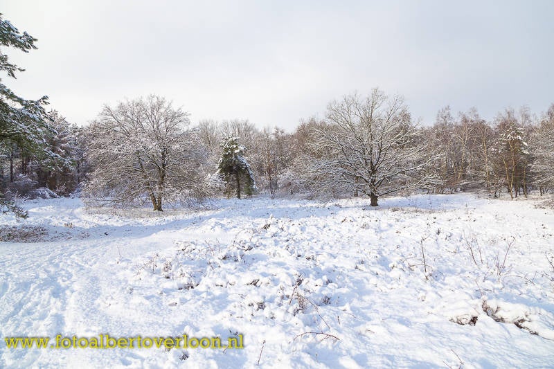SneeuwkleurtOverloonwit-23.jpg