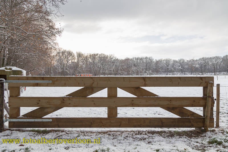 SneeuwkleurtOverloonwit-27.jpg