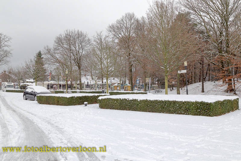 SneeuwkleurtOverloonwit-30.jpg