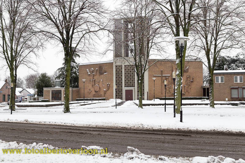 SneeuwkleurtOverloonwit-4.jpg