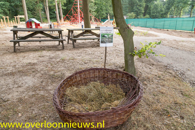 SpeeltuingewoonBuiten-06-07-2018-2.jpg
