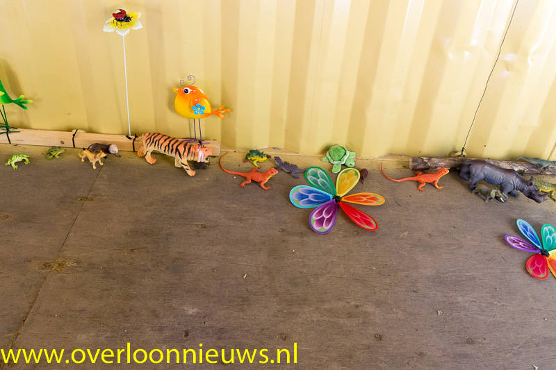 SpeeltuingewoonBuiten13-07-2018---21.jpg
