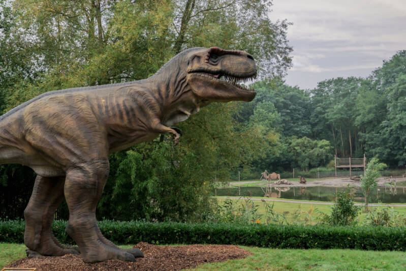 TyrannosaurusRexinZooParc2020.jpg