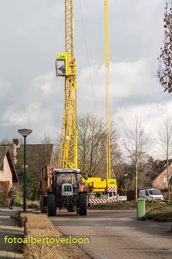 Veelomgewaaidebomendoorstorm-18.jpg