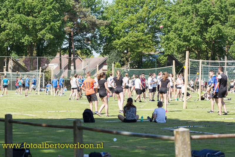 Volleybaltoernooi15.jpg