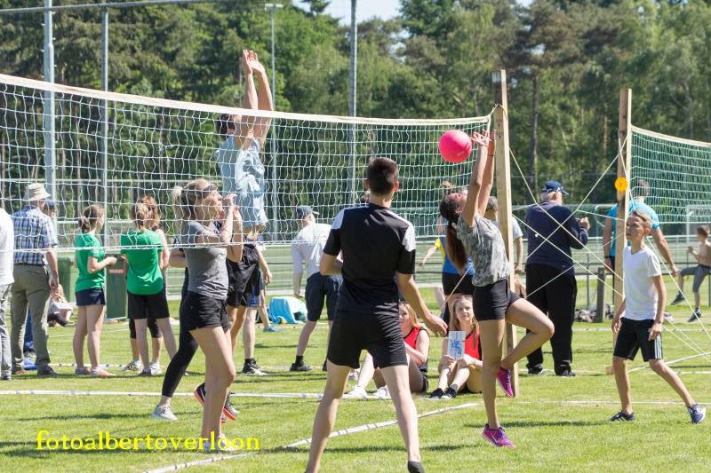 Volleybaltoernooi25-05-20178-1.jpg
