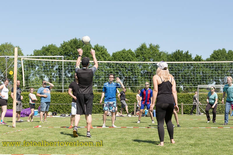 Volleybaltoernooi41.jpg